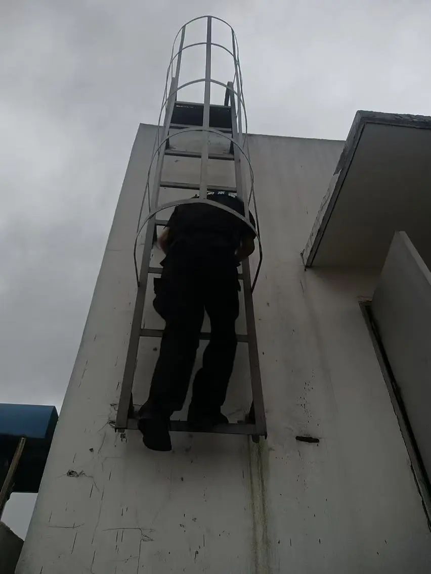 C:/Users/BA/Desktop/風(fēng)雨過后南京保安迅速行動(dòng)，恢復(fù)安“寧”面貌/3.jpg3